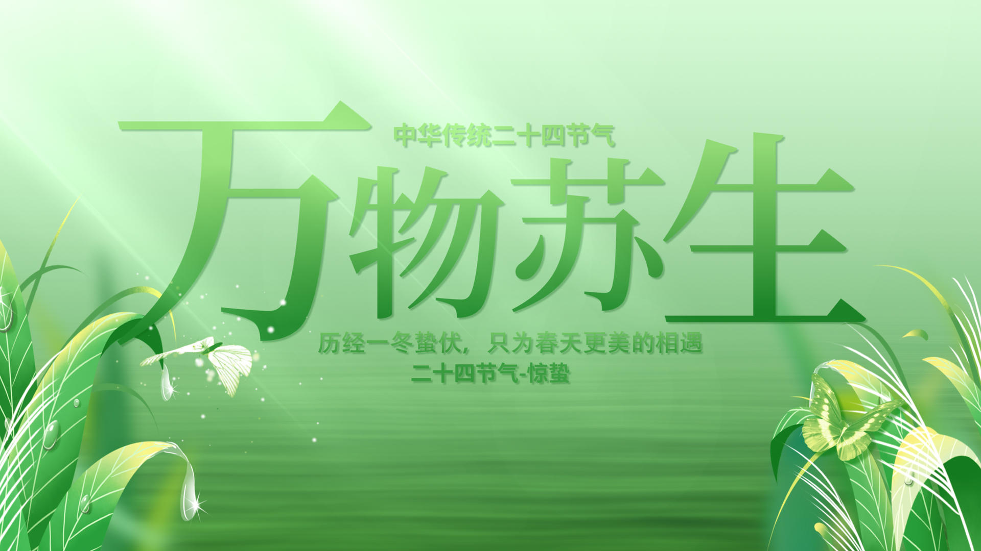 二十四节气惊蛰文化pr模板片头视频的预览图