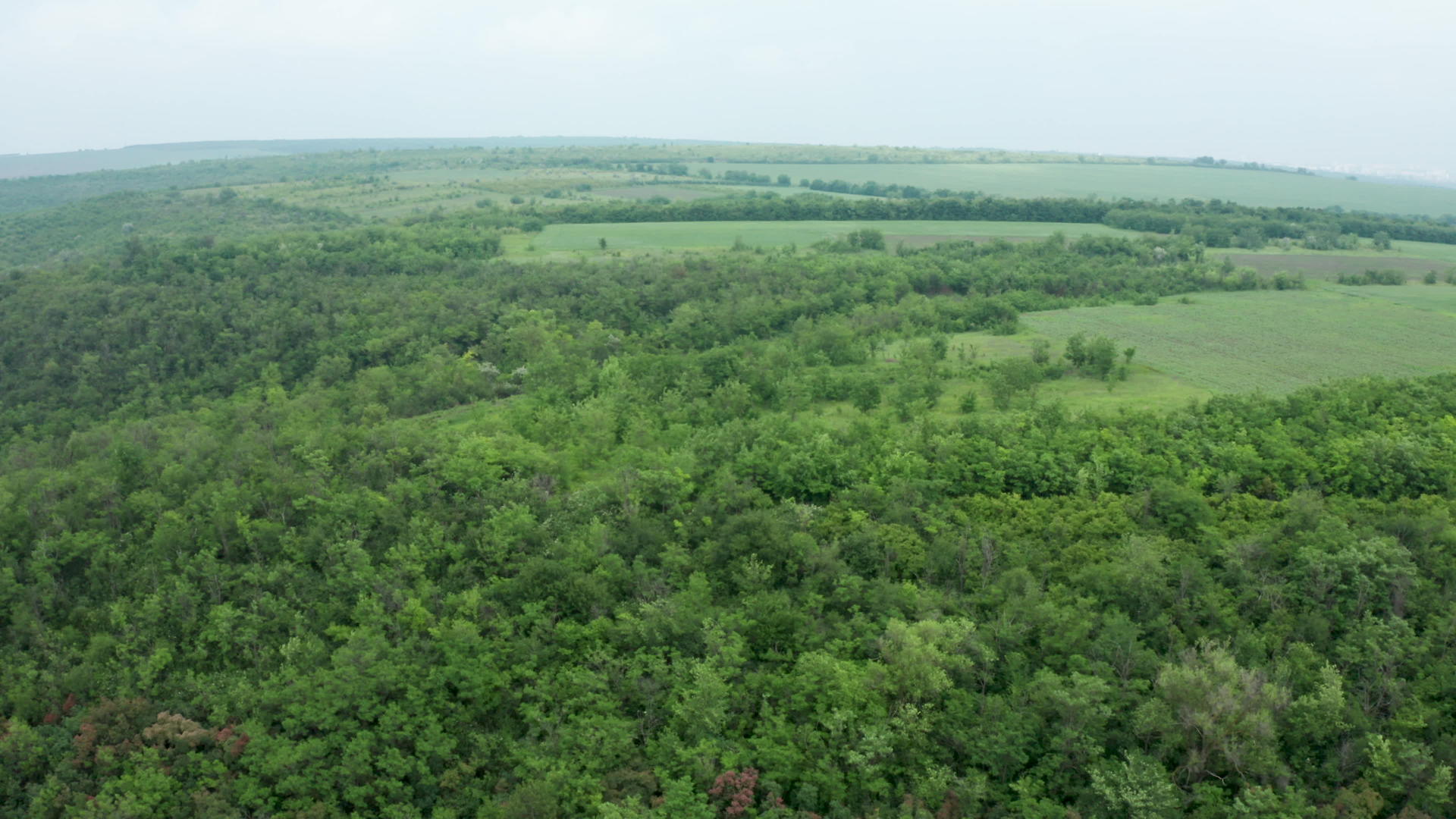 空中无人飞机向茂密的森林和其他荒野射击视频的预览图