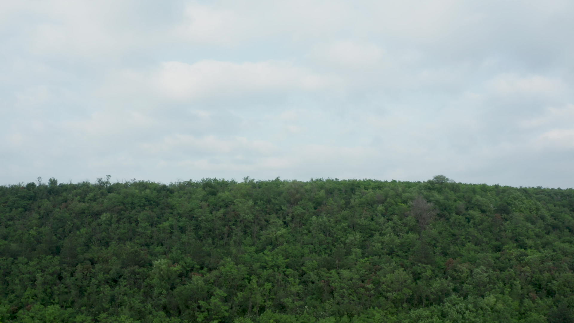 在天空中拍摄茂密的森林视频的预览图