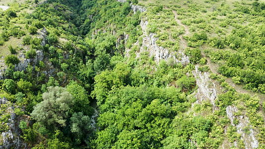 绿色森林的无人机图片在峡谷中不断上升视频的预览图