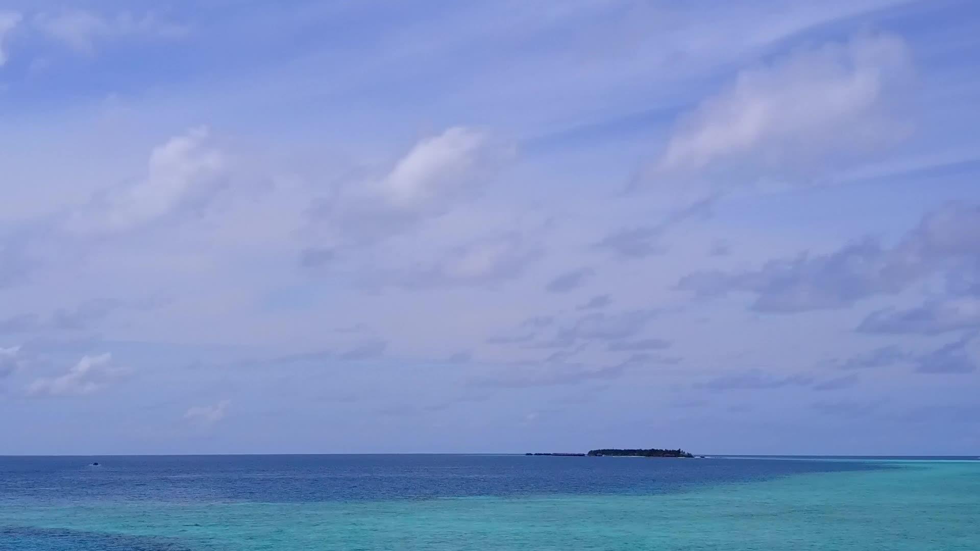 豪华度假胜地海滩野生动物的空中观景摘要视频的预览图