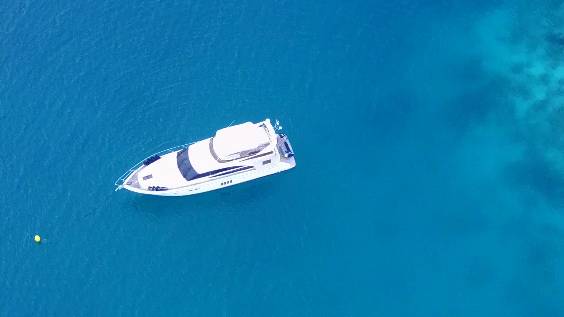 天堂海洋空中无人驾驶使用蓝海和浅沙背景的海滨野生动物视频的预览图