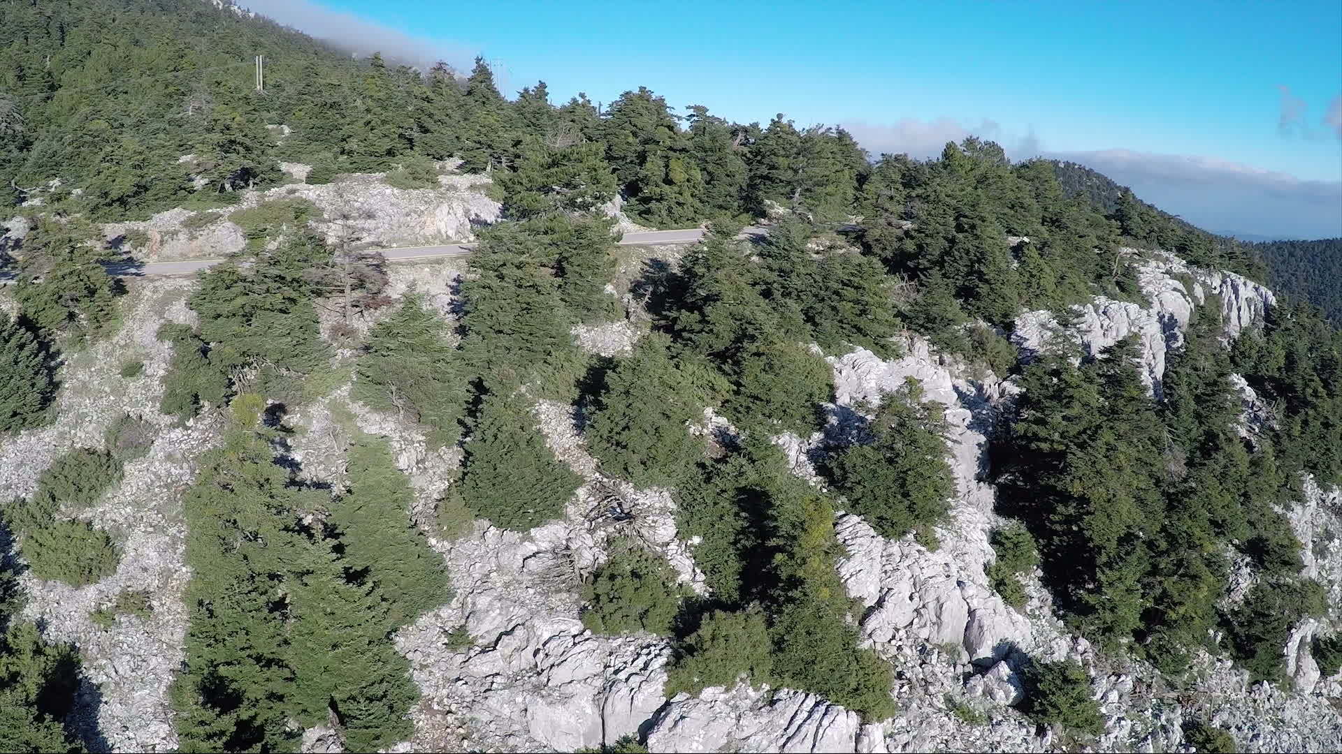 山山公路视频的预览图