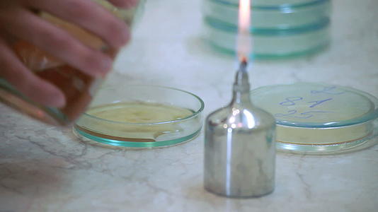 实验室测试实验室研究实验室实验中的蜡烛火焰视频的预览图