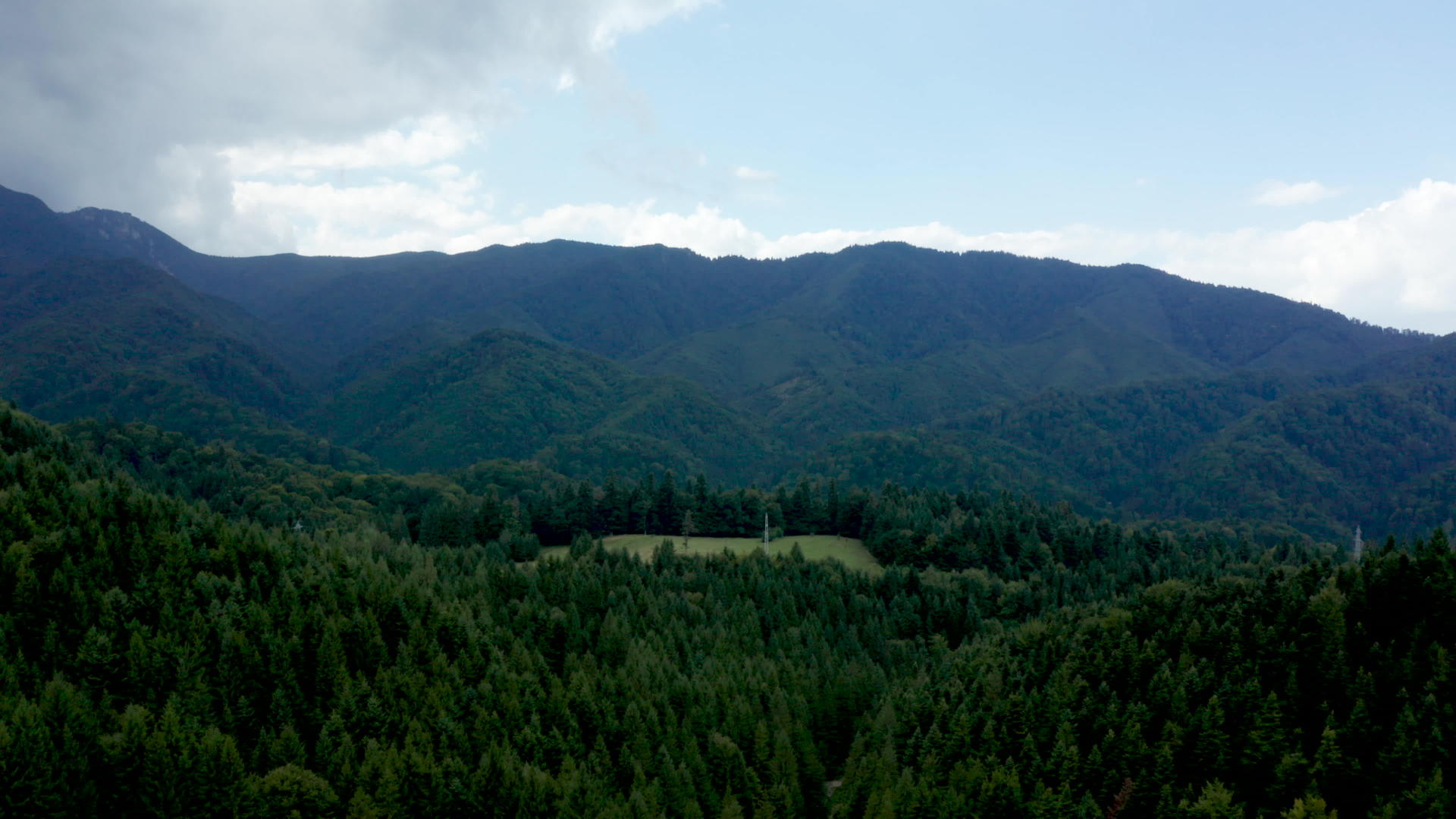 山上有绿林Ariel视频视频的预览图