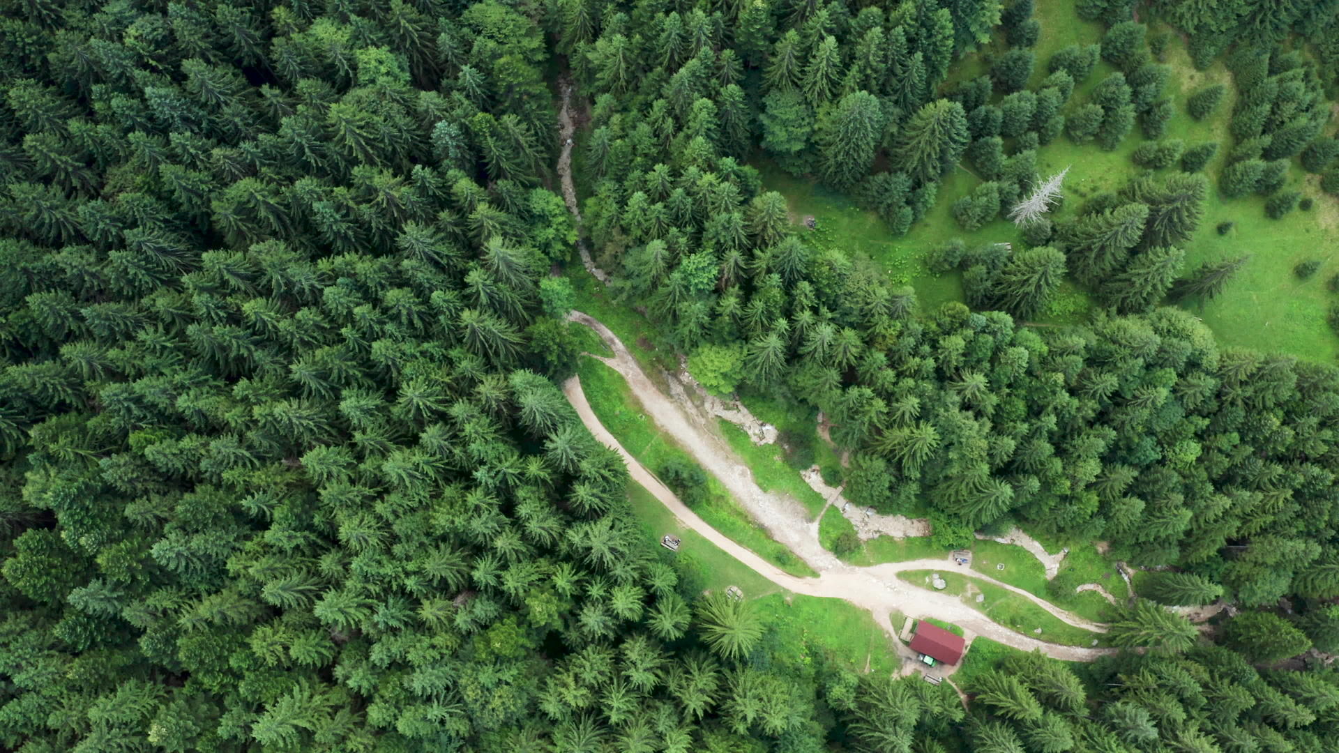 无人驾驶无人驾驶飞机飞越山上的绿林视频的预览图