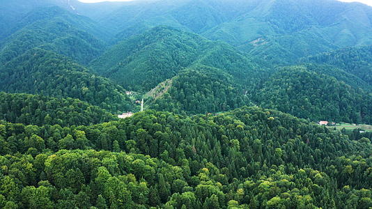 空中无人飞机景观片段种植绿树视频的预览图