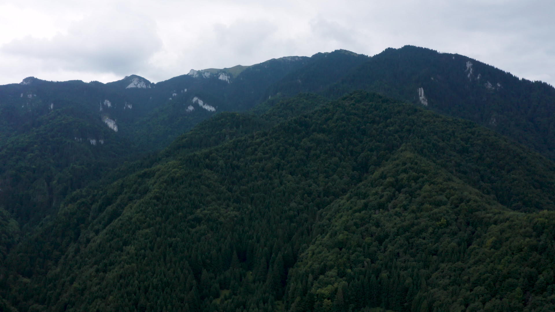 高山绿林顶层景观视频的预览图
