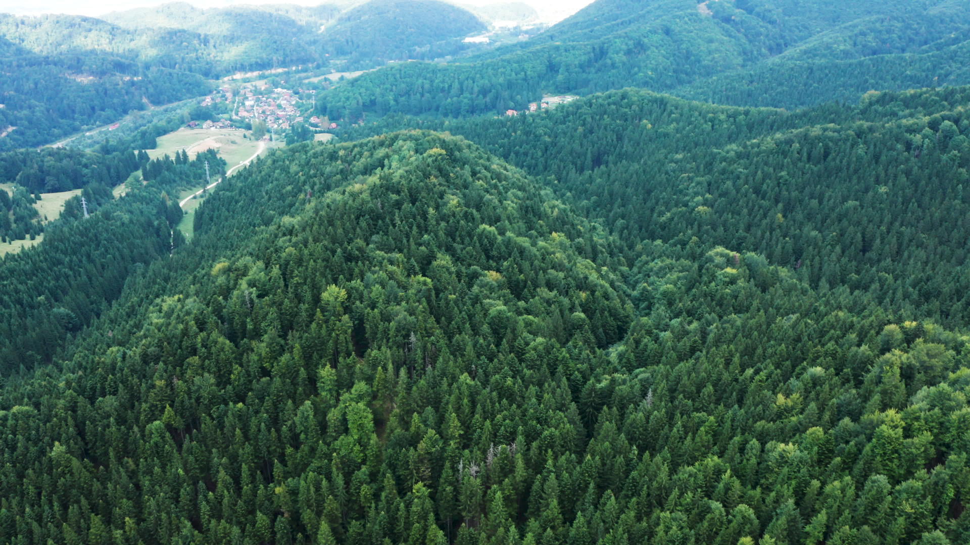 无人驾驶无人驾驶飞机飞越山上美丽的绿色森林视频的预览图