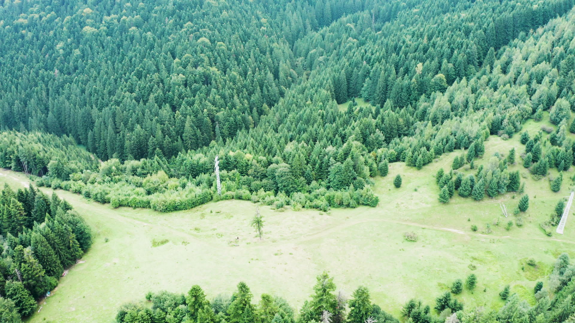 无人驾驶飞机使用绿色森林飞越山区视频的预览图