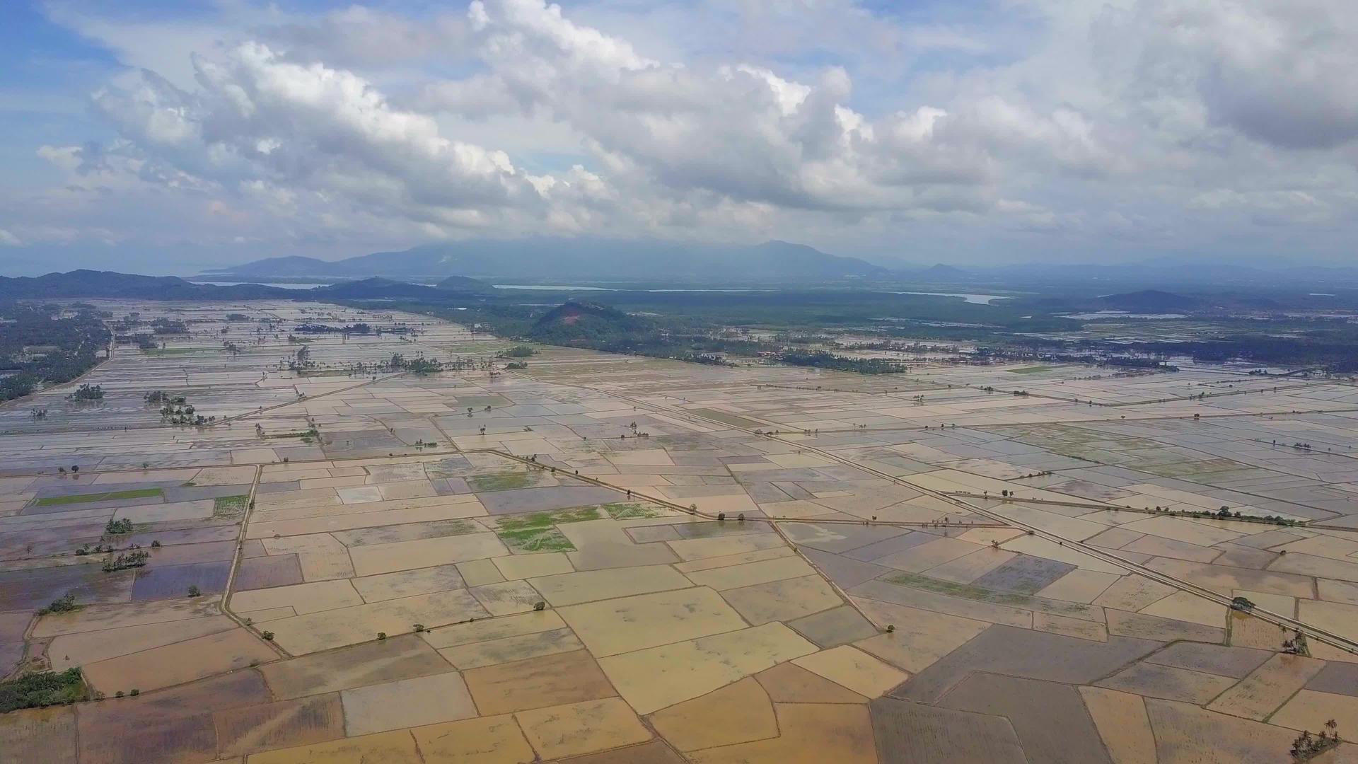在空中观光的背景下苍蝇飞过淹没的稻田Jerai为背景视频的预览图