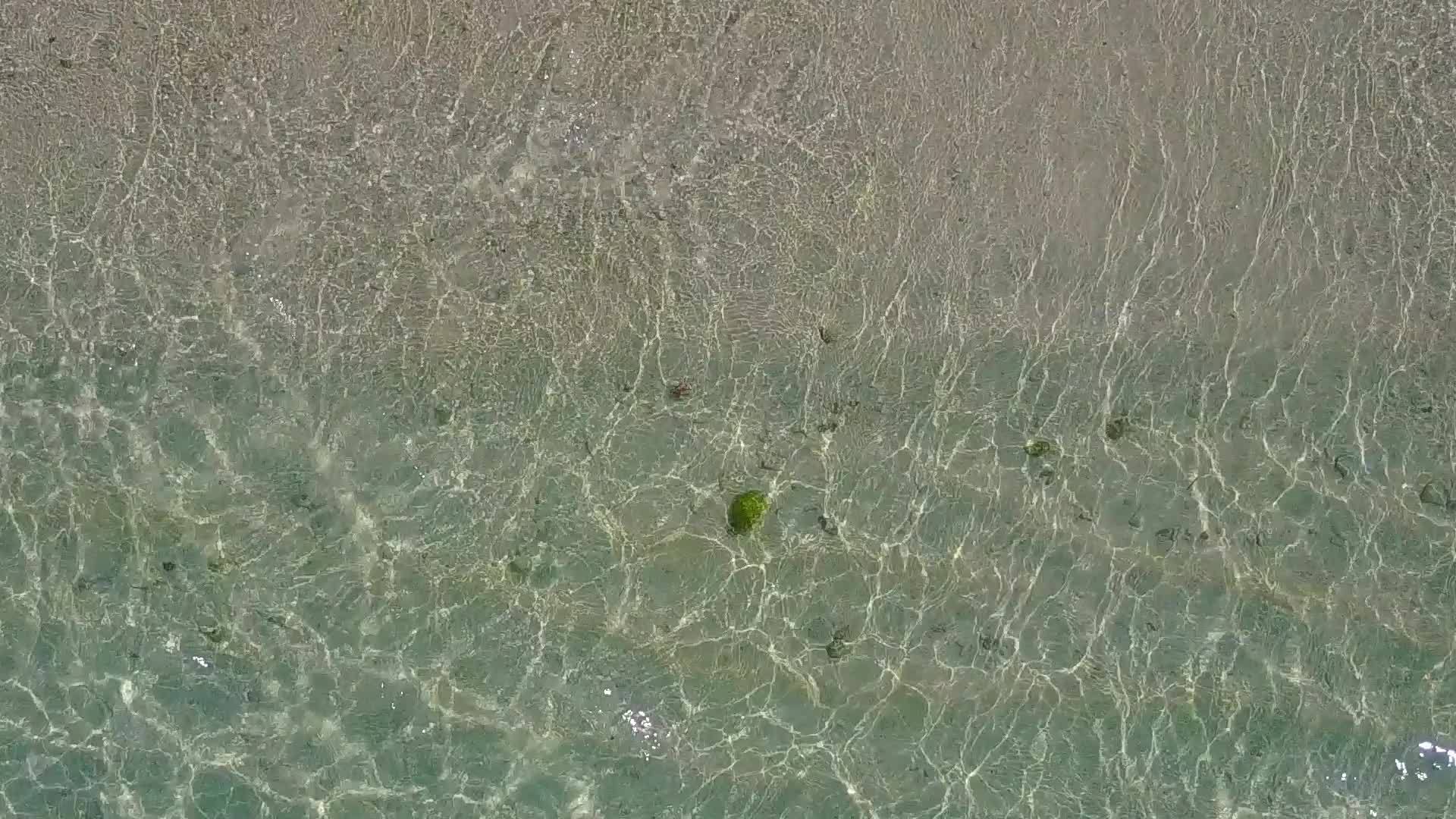 在清澈的海洋和白色的海滩背景下放松湖海滩野生动物的无人机视频的预览图