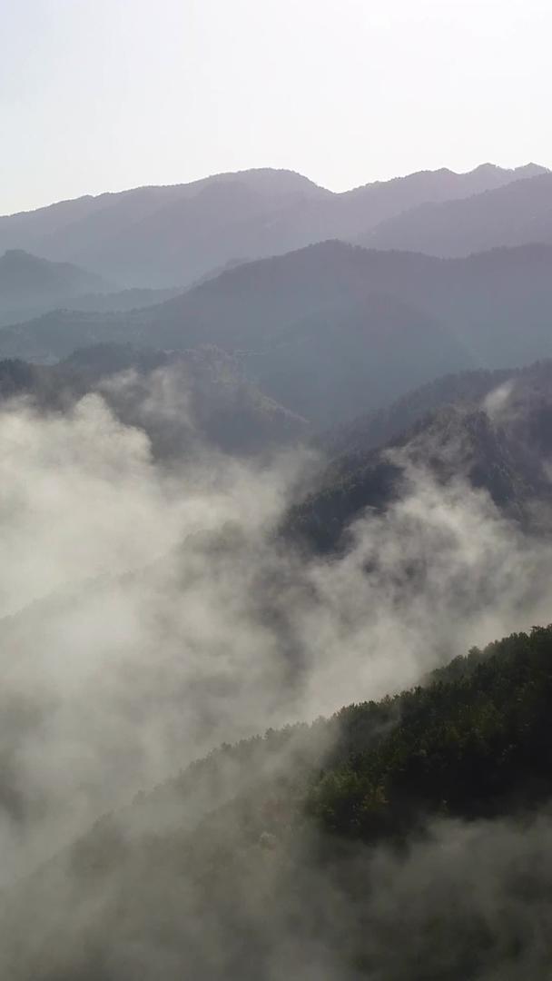 山中云海逆光航拍视频的预览图