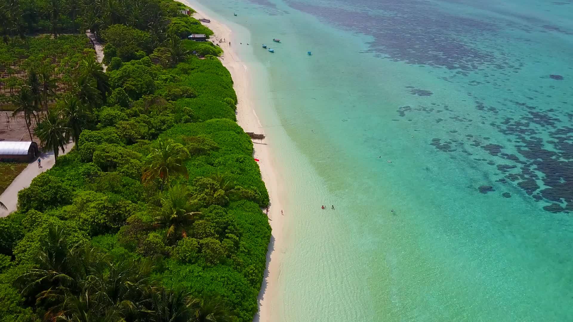以白沙背景的蓝海为例放松海岸海滩度假的空中无人驾驶视频的预览图