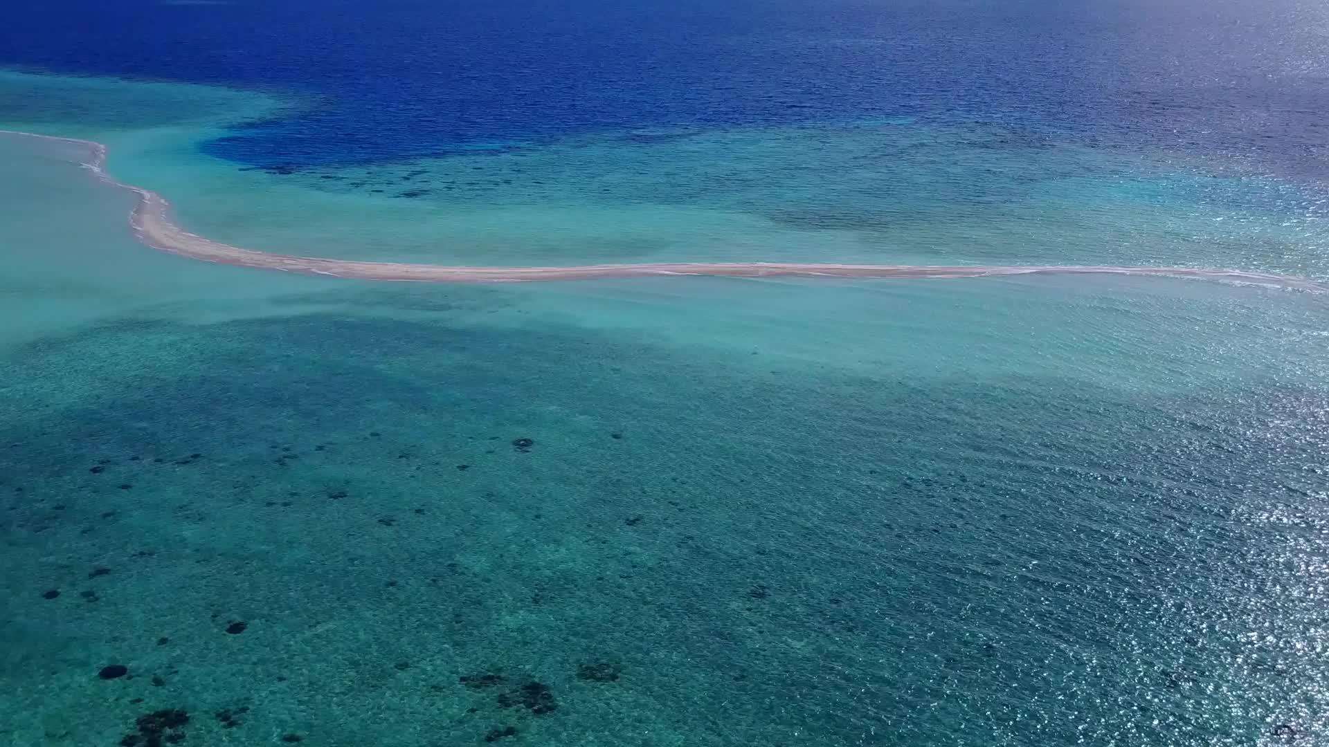 以蓝水和白沙为背景的奇怪海岸海滩野生动物视频的预览图
