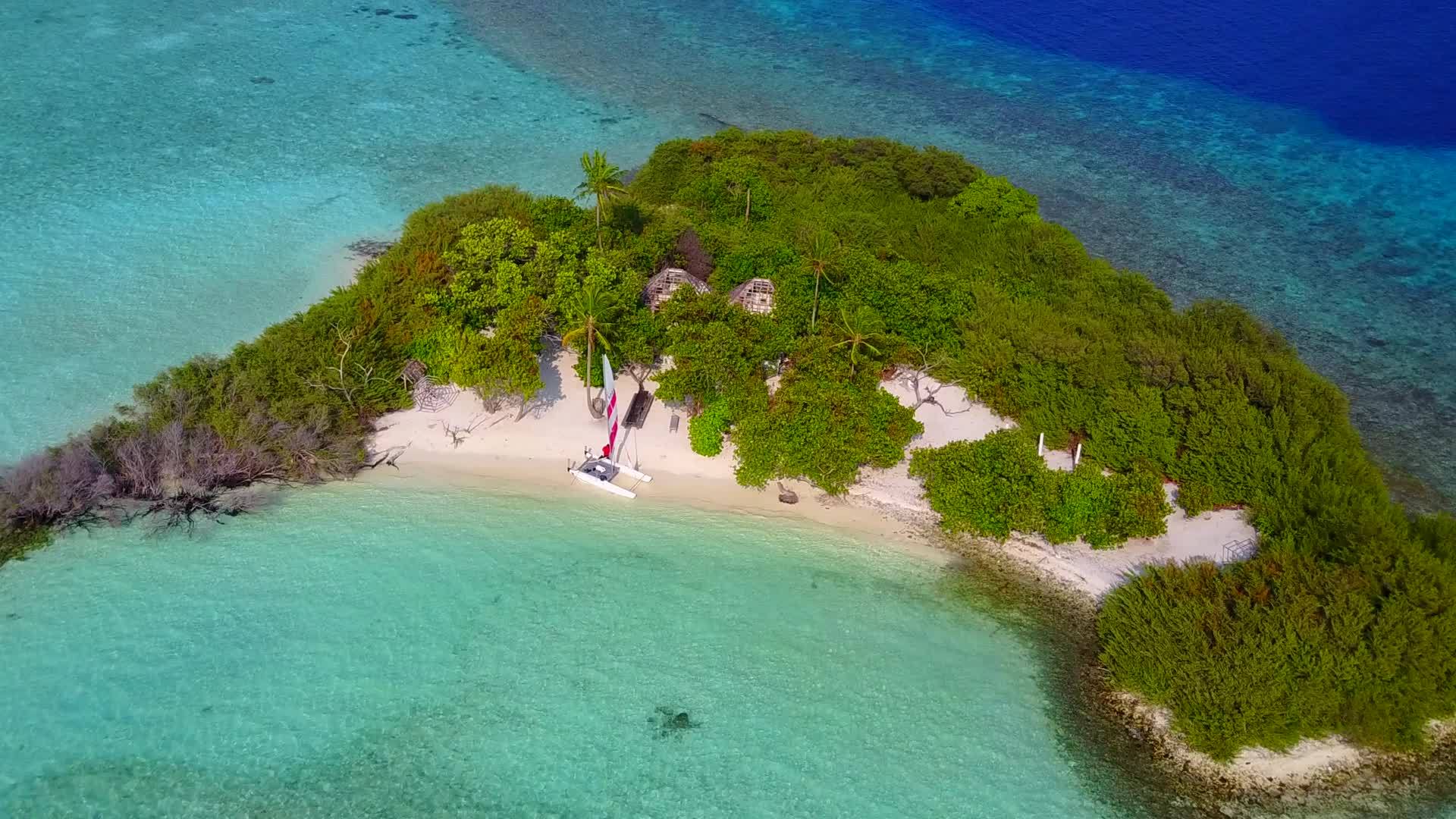 透明的海洋具有清洁的沙土背景在奇怪的岛屿海滩度假视频的预览图