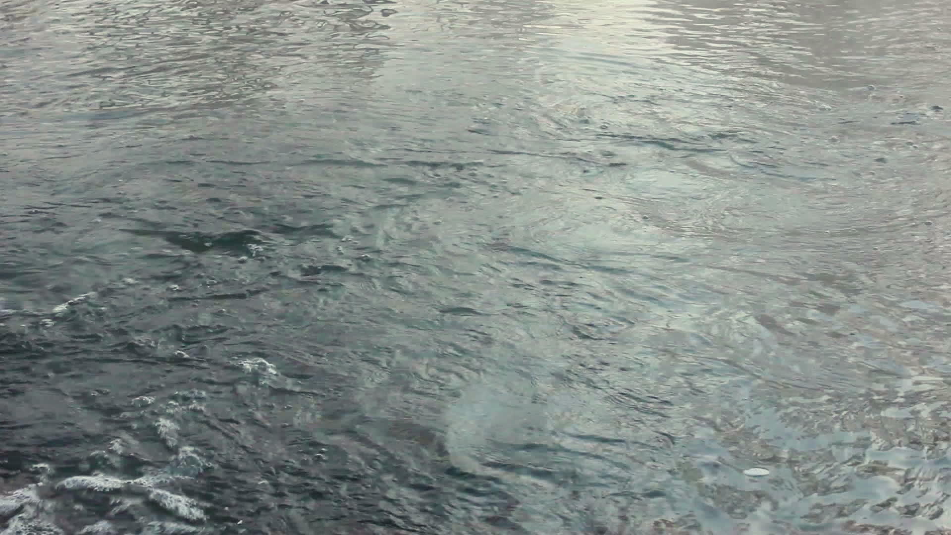 水面河流流动特写镜头流水视频的预览图