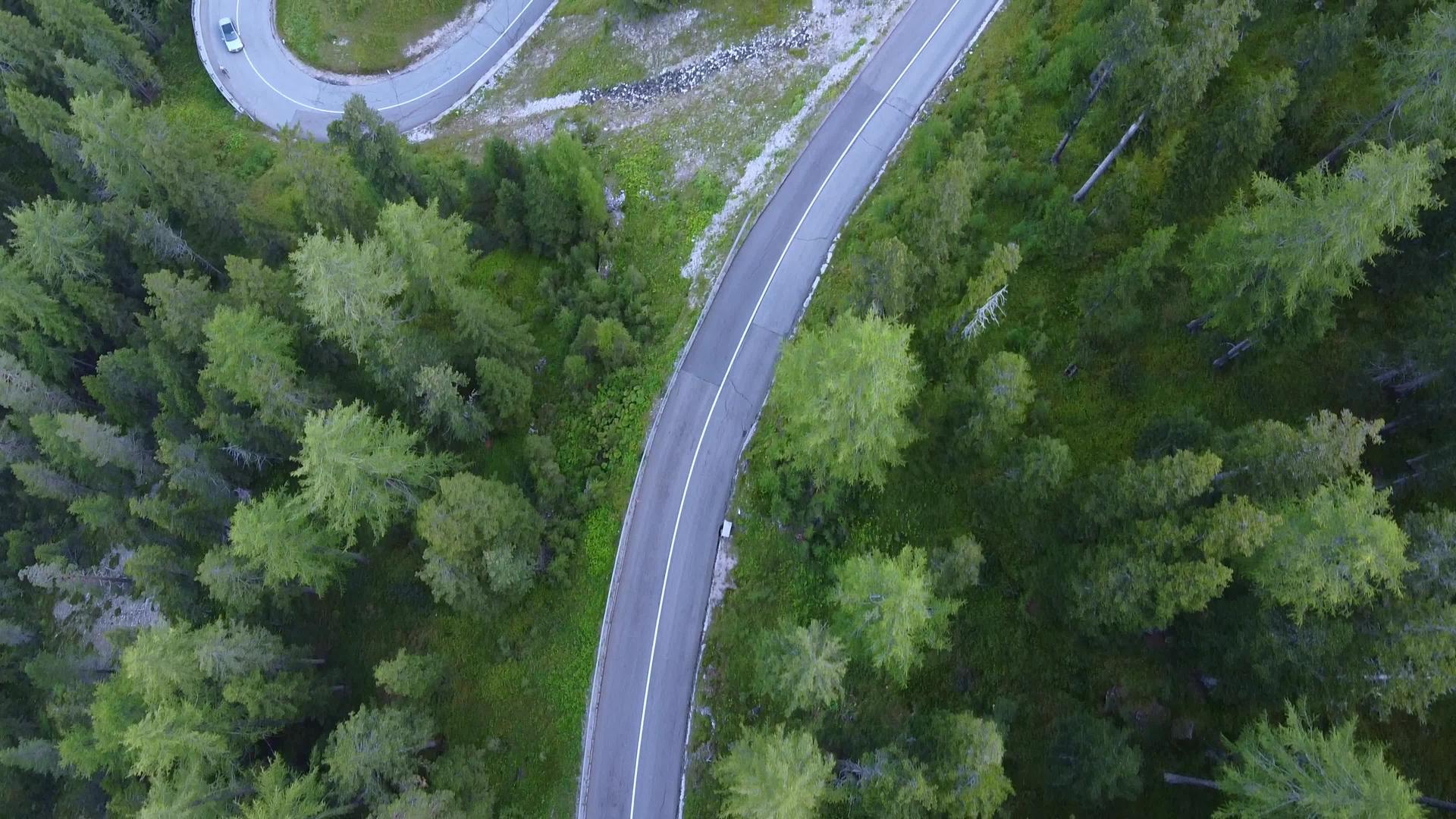 绿洞林中摇摇欲坠的道路视频的预览图