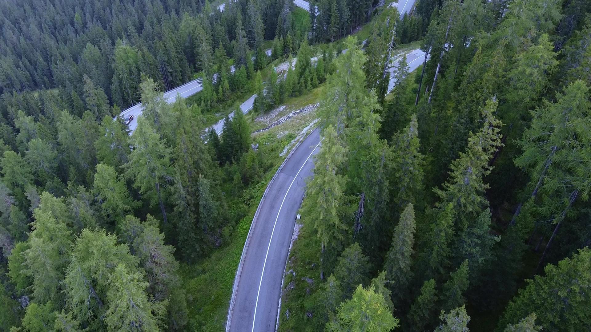 绿洞林中摇摇欲坠的道路视频的预览图