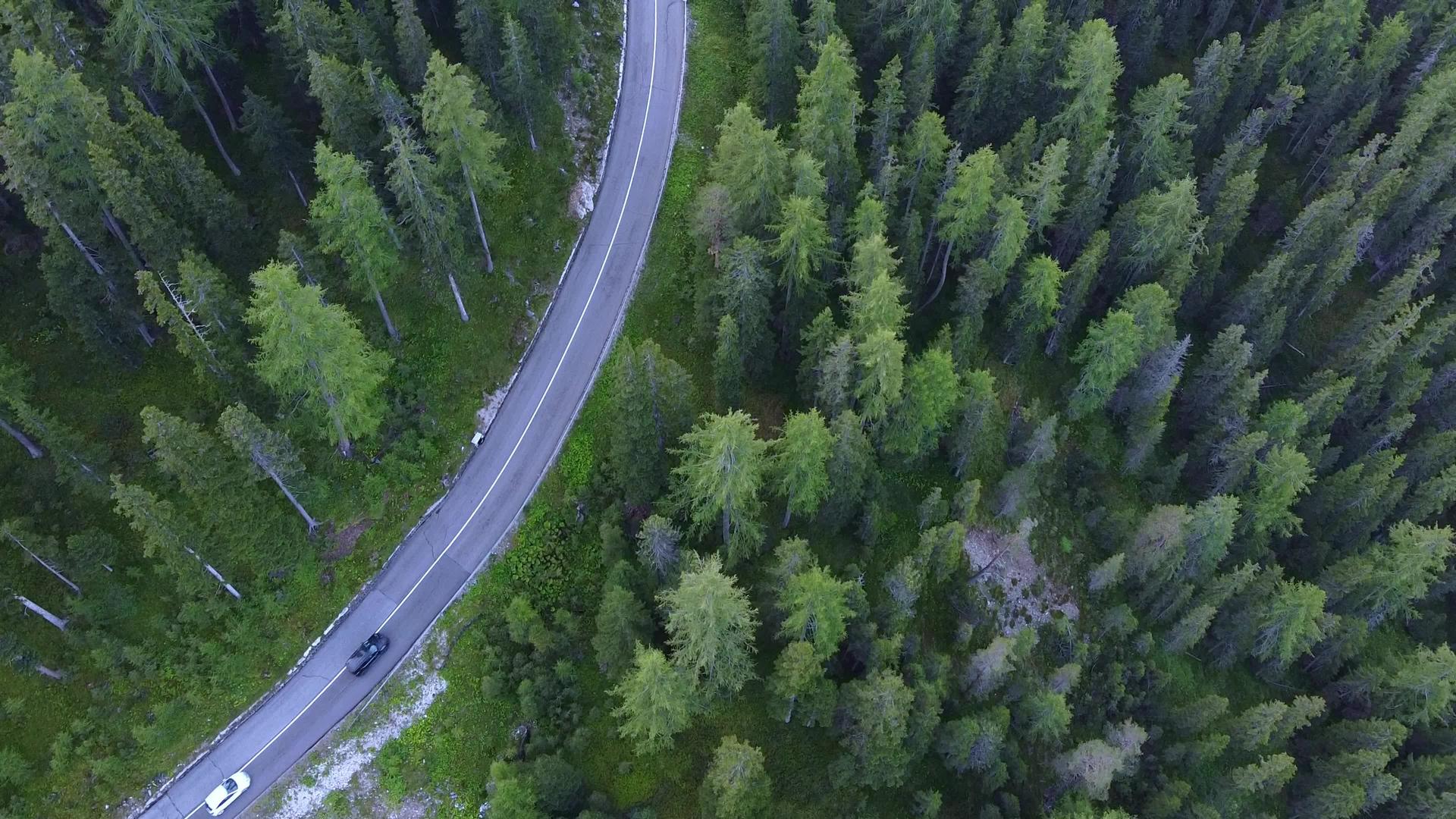 绿洞林中摇摇欲坠的道路视频的预览图