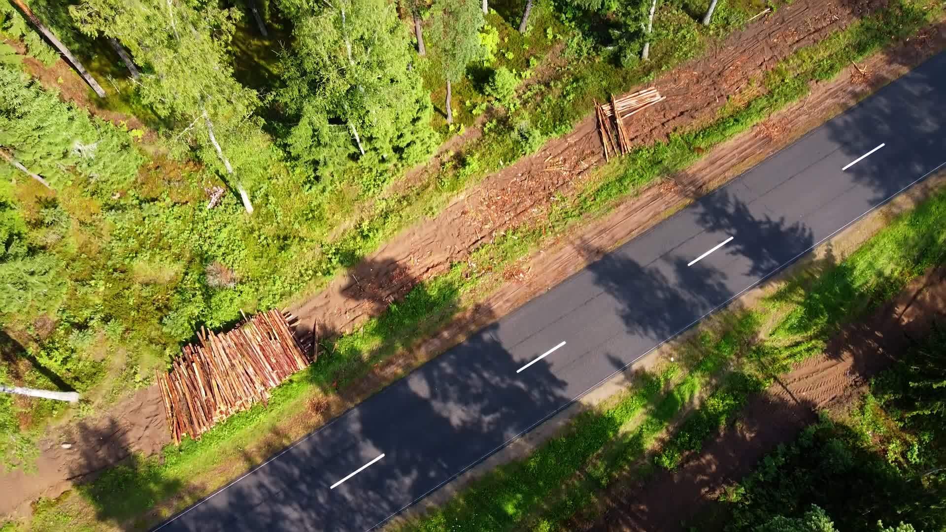 从森林公路上方的高度下降的无人驾驶飞机视频的预览图
