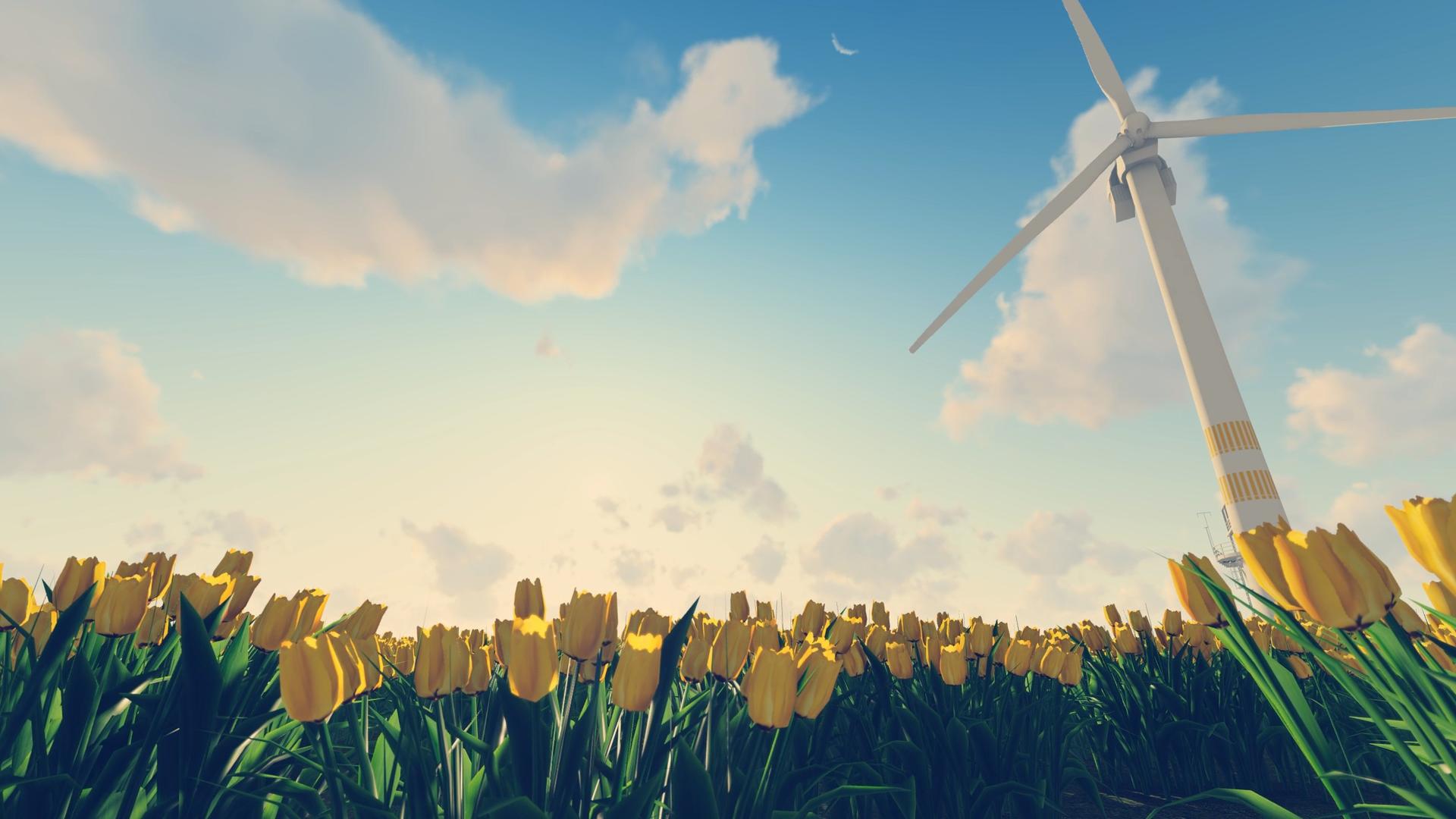 超清2k低碳环保风力发电唯美风景视频的预览图