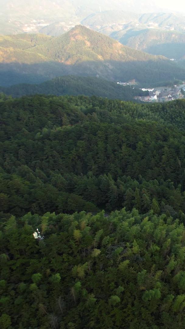 安徽天柱山景区航拍5A万亩竹林全景视频视频的预览图