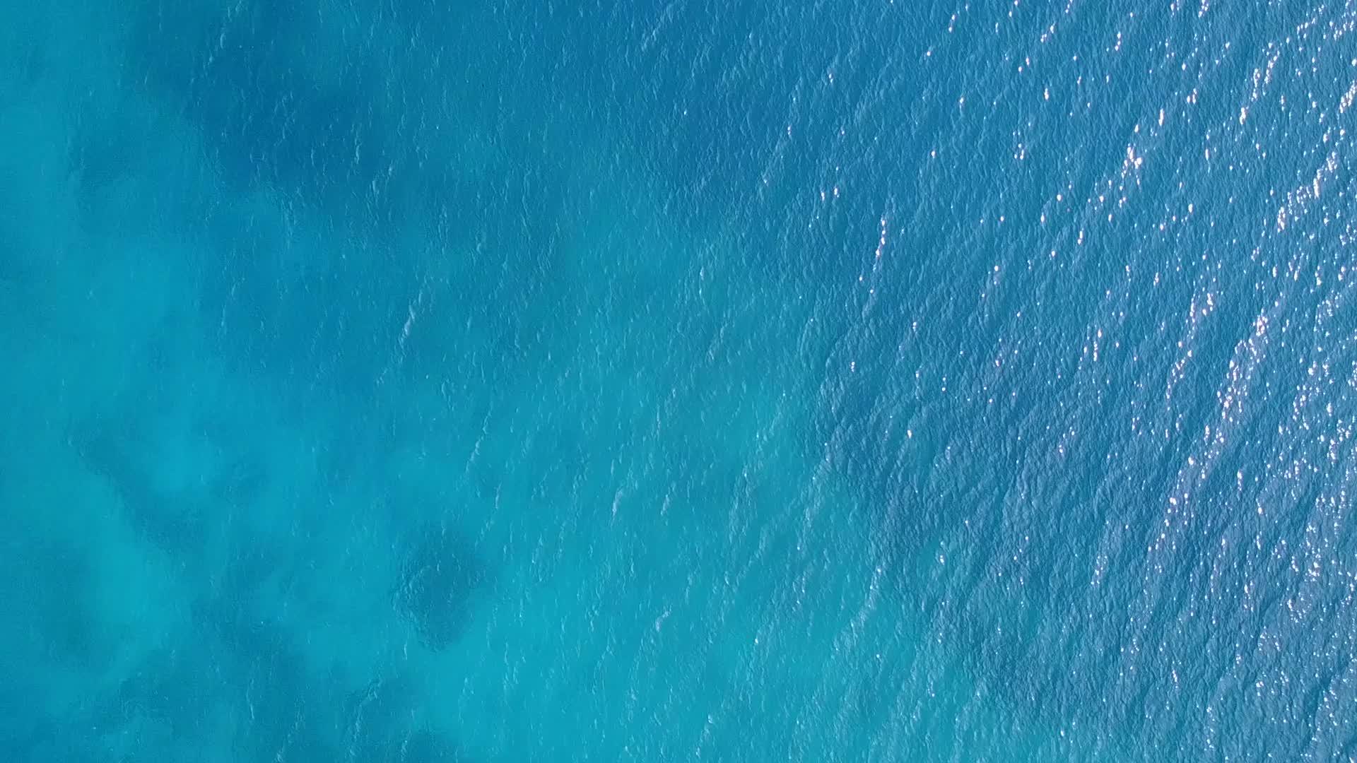 天堂海滩野生生物以清晰的环礁湖和白色海滩为背景视频的预览图