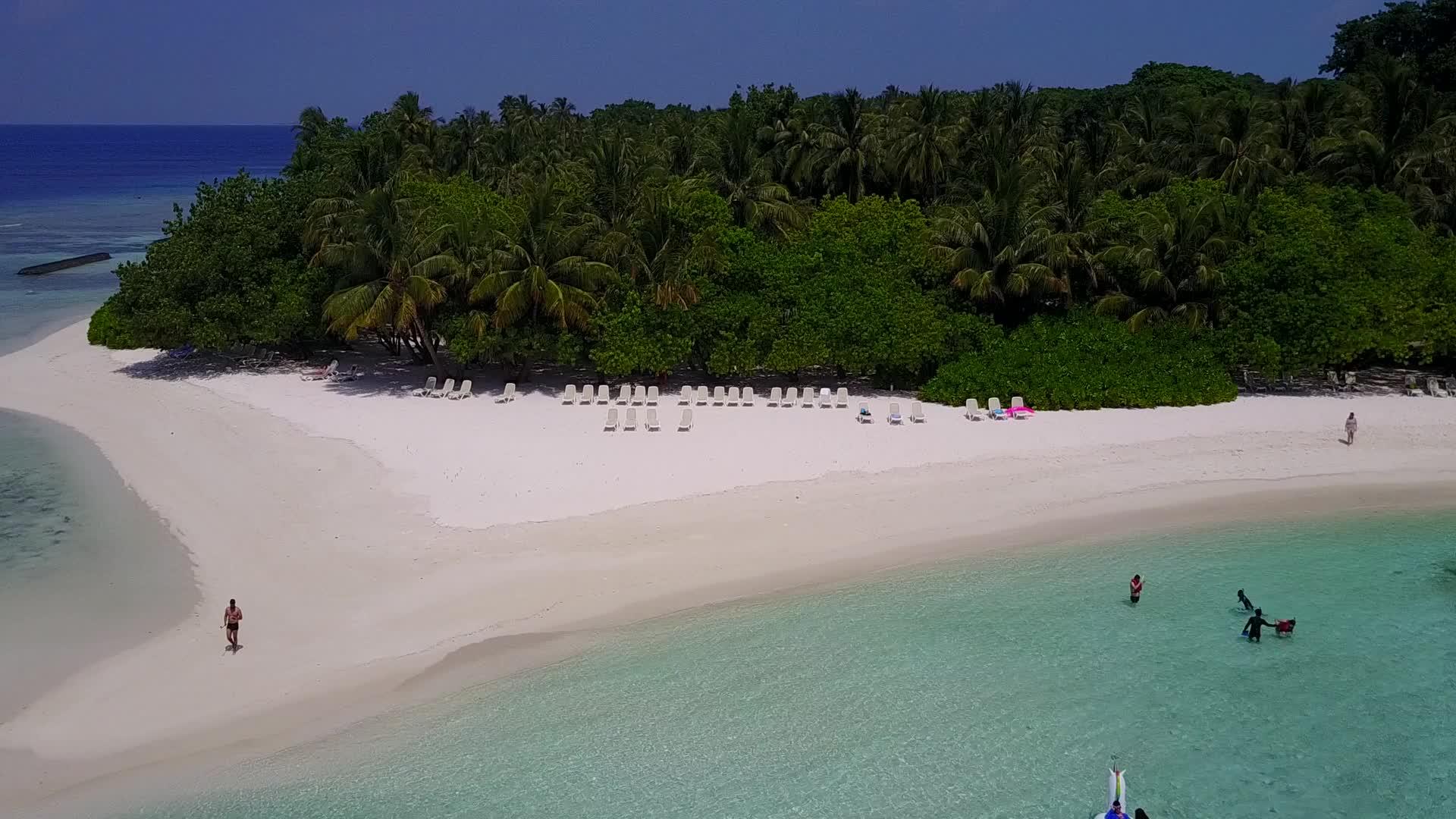 白沙背景水蓝水完美海滩野生动物空中旅行视频的预览图