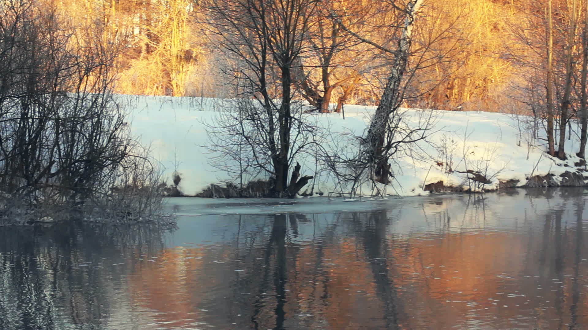 冬河森林的岸边冬季森林的阳光视频的预览图