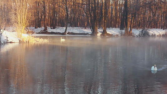 冬季风景森林湖喷雾视频的预览图