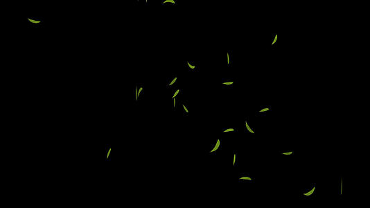 飘落系的竹叶视频的预览图