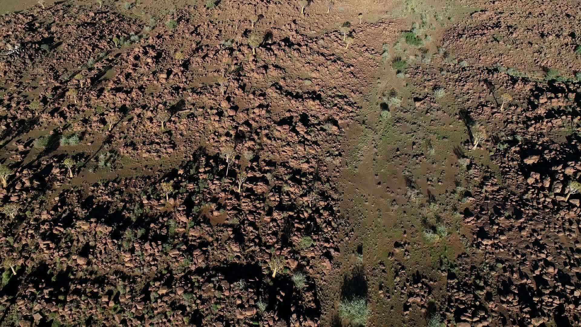 纳米比亚南部的空中景观视频的预览图