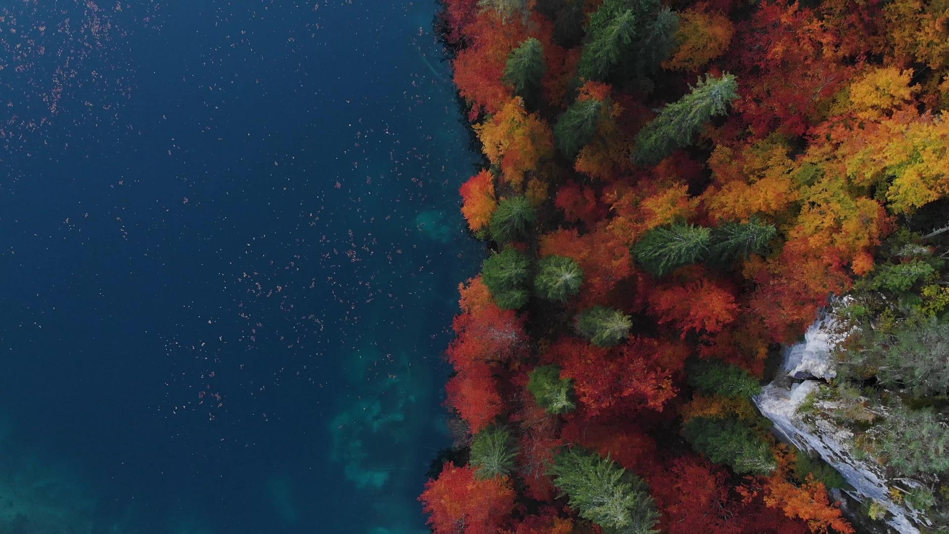 蓝湖湖和秋季森林从上到下视频的预览图