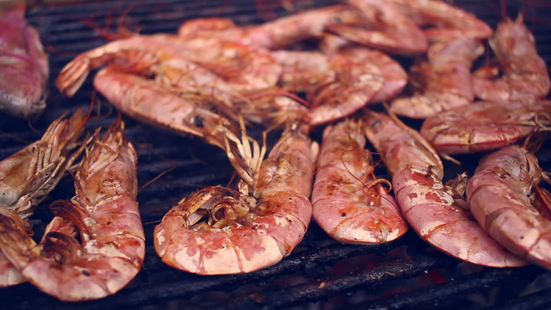 海鲜烧烤架上的烤虾烧烤海鲜视频的预览图