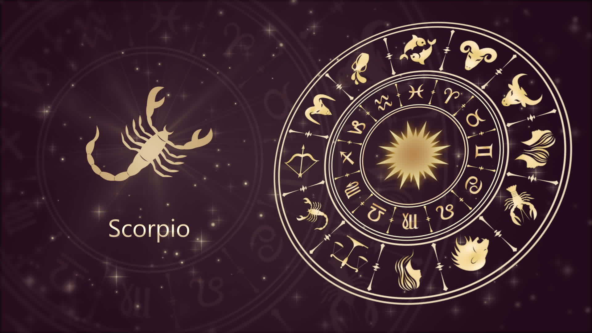 黄道菌标志着天蝎座和星轮视频的预览图