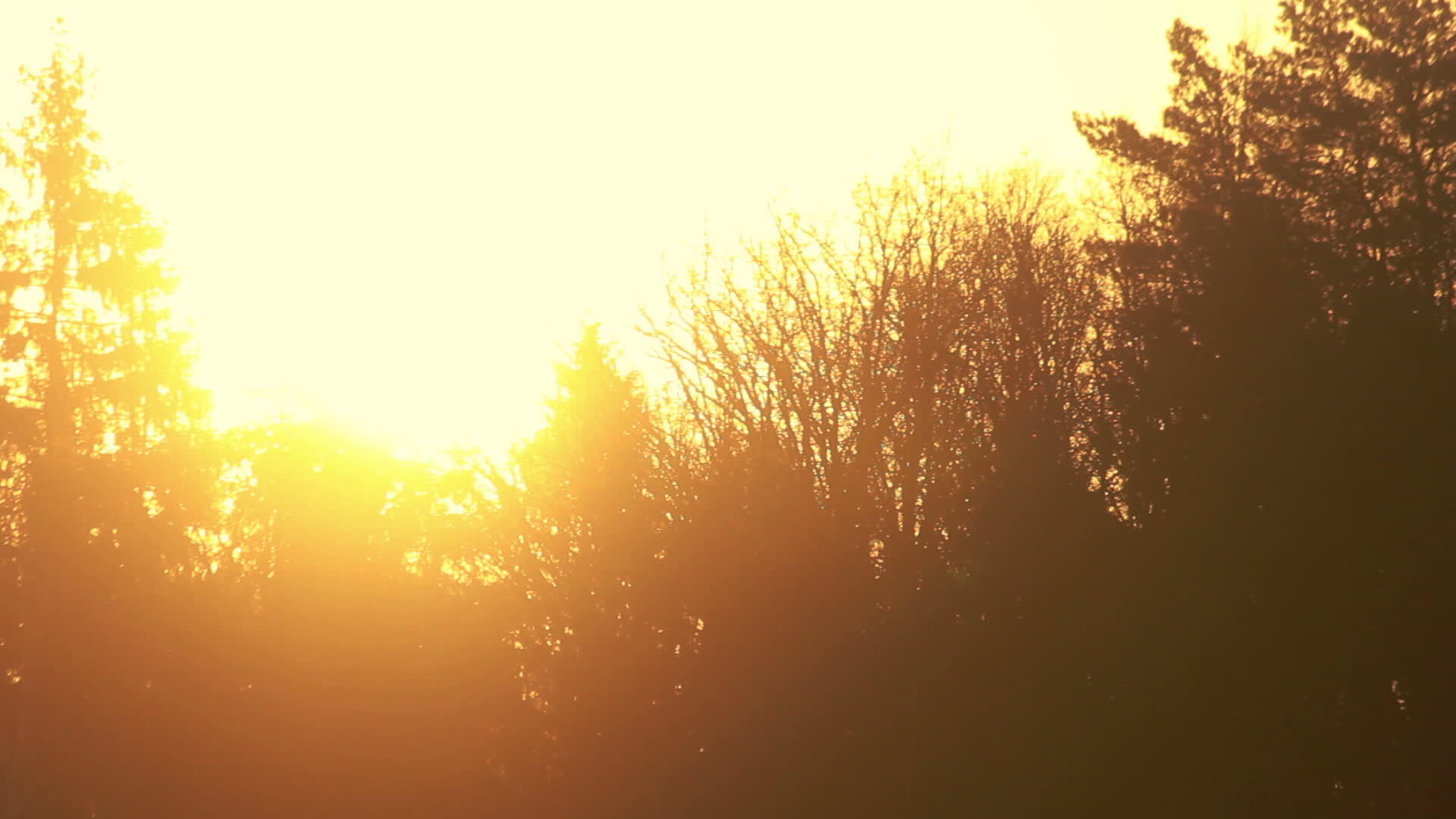 橙色天空的自然背景日落时的橙色天空视频的预览图