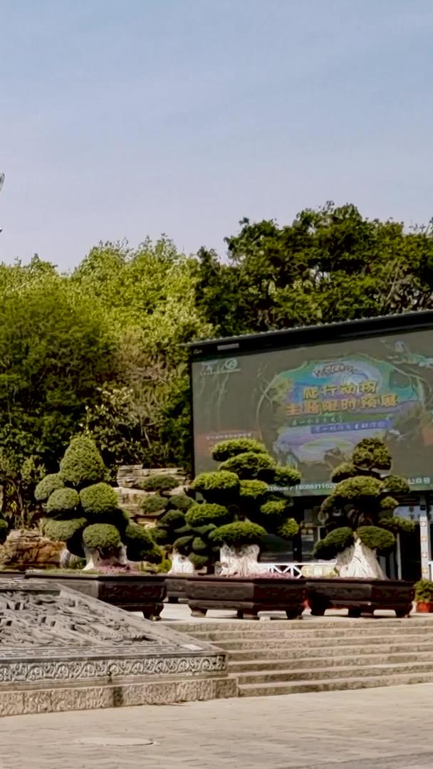 云南昆明石林景区石林博物馆视频素材视频的预览图