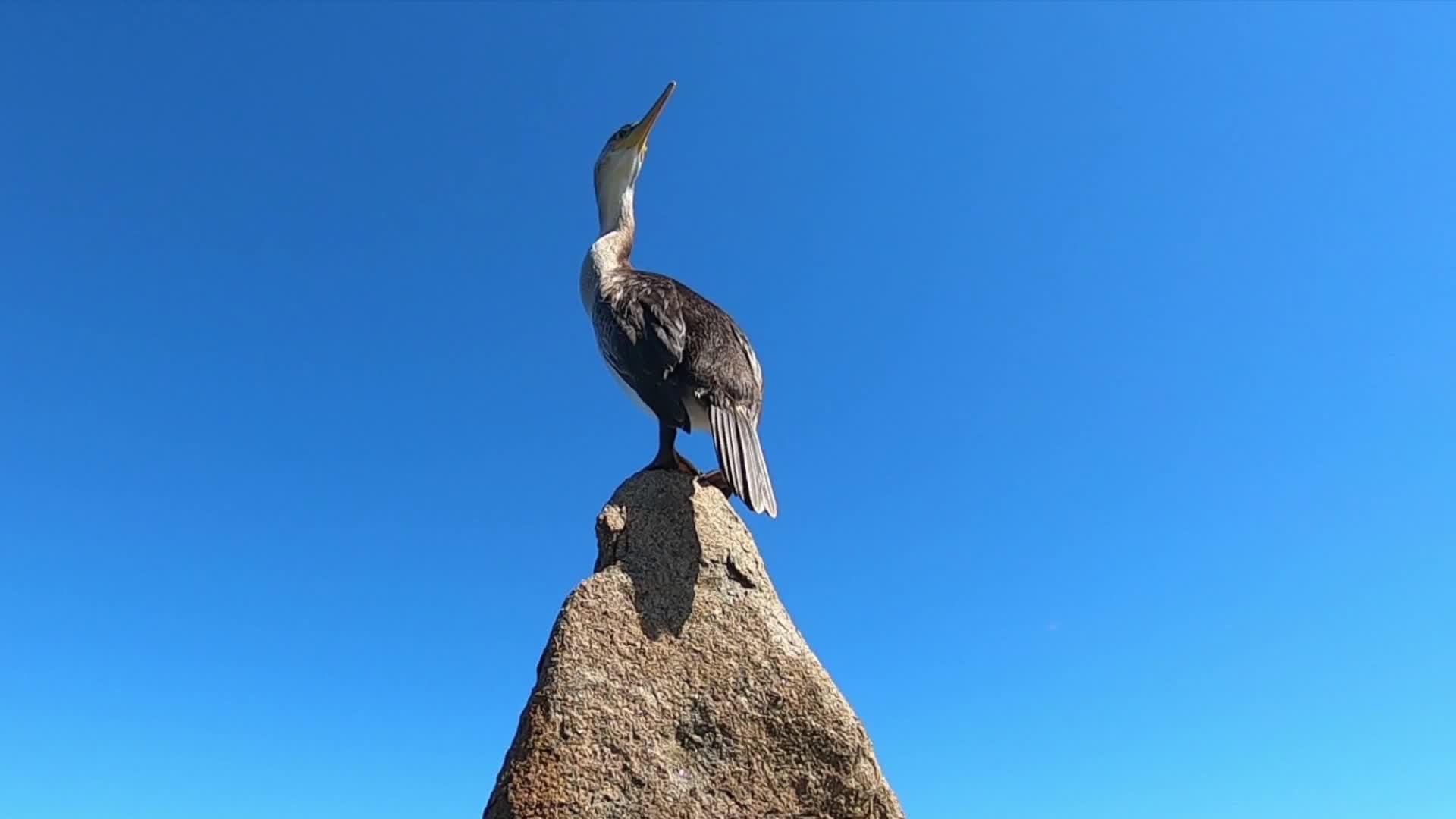 花岗岩在明海和蓝天之间视频的预览图