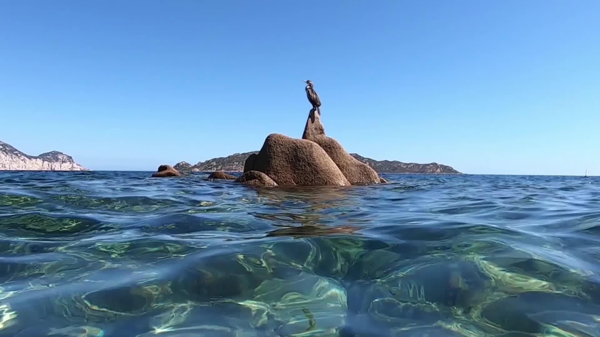 直接射在清海和蓝天之间的花岗岩上视频的预览图