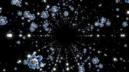 空间花朵穿梭视频的预览图