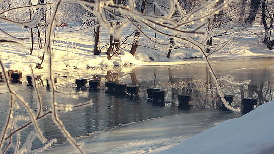 冬季河在公园里奇幻乐冷冻河在冬季公园里视频的预览图