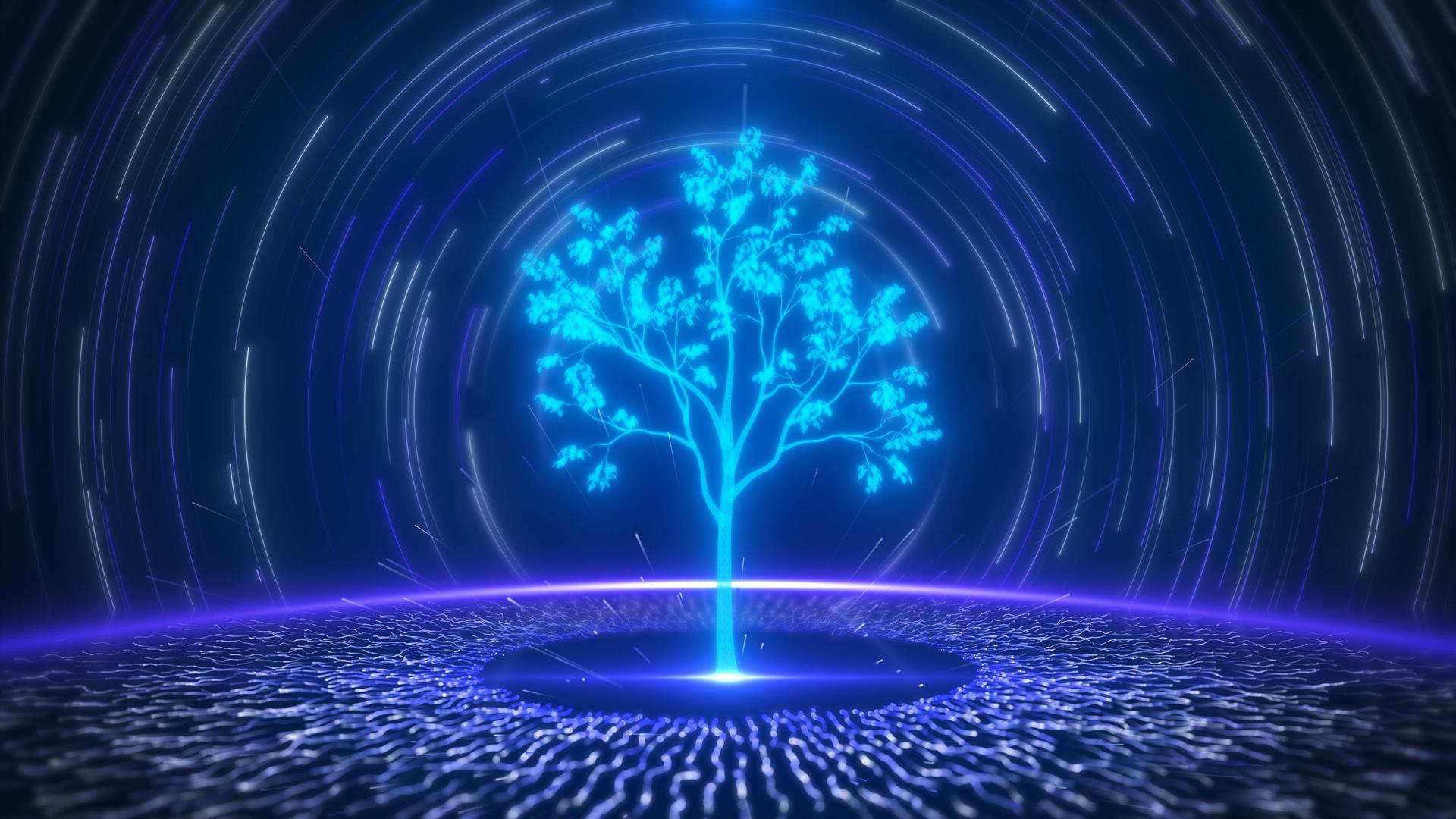 炫耀粒光唯美信息科技智慧树视频的预览图