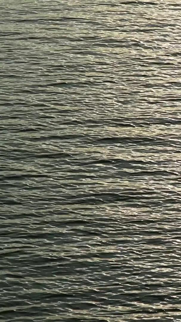 夕阳下波光粼粼的水面视频的预览图