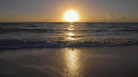 日出在海上鸟慢动作视频的预览图