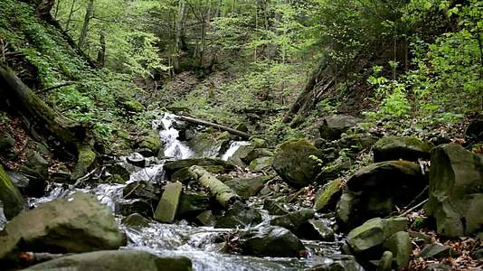 山河在绿林中流淌视频的预览图