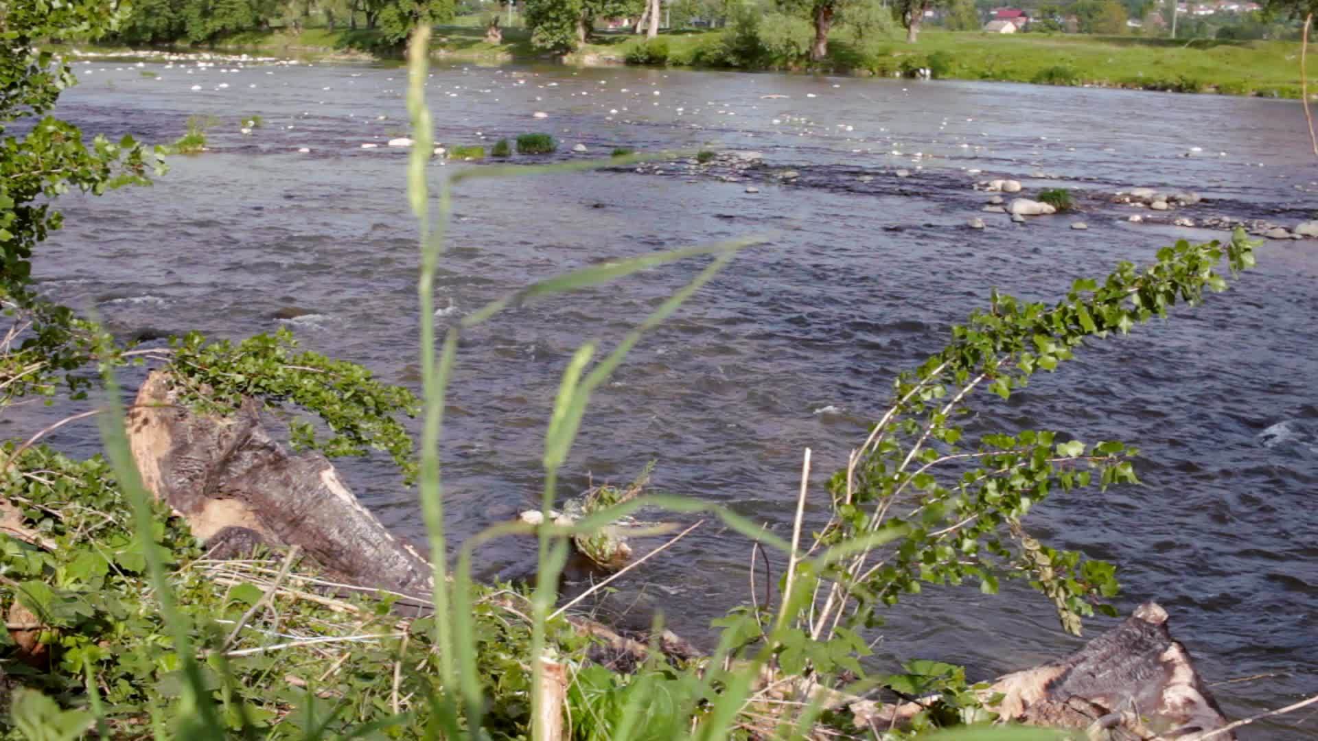 美丽的河流溪流景观串河溪流湍急视频的预览图