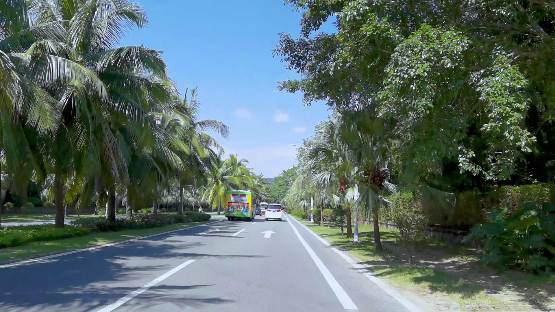4K行车视角拍摄海南椰林大道交通视频素材视频的预览图