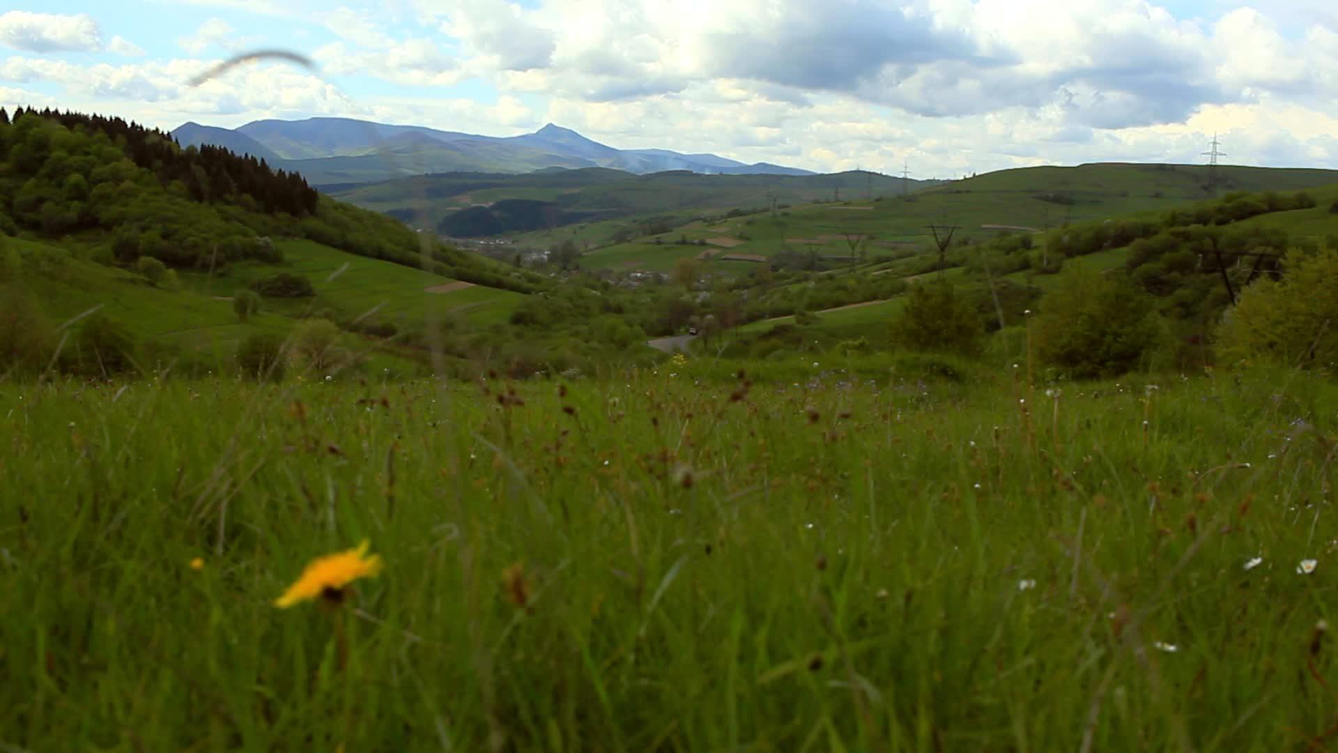 夏季山区草原景观山地牧场视频的预览图