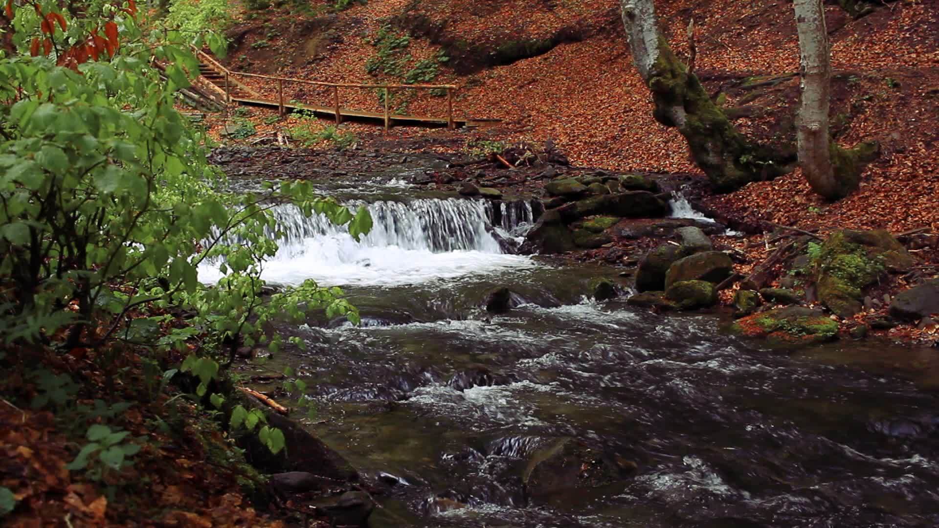 公园小瀑布山地公园有连级联流的河流视频的预览图
